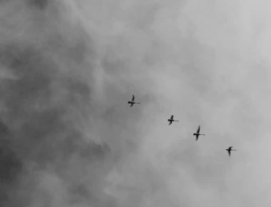 Το 95% του παγκόσμιου πληθυσμού αναπνέει μολυσμένο αέρα